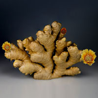 Raw Material Testing